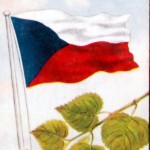 269508_540629802620062_1577331574_n