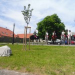 Svehl.lipa-Cehnice-2013-Svornost-0007