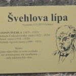 Svehl.lipa-Cehnice-2013-Svornost-0051