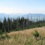 větrolam na Lysé hoře