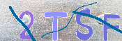 Kontrolní text