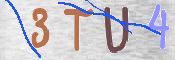 Kontrolní text