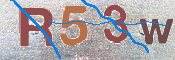 Kontrolní text