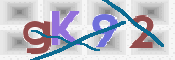 Kontrolní text