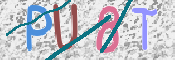 Kontrolní text