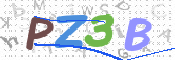 Kontrolní text