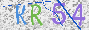 Kontrolní text